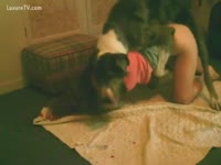 Big mutt pumps his master's cunt